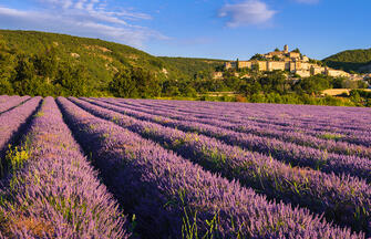 Provence - zwischen Tradition und Moderne