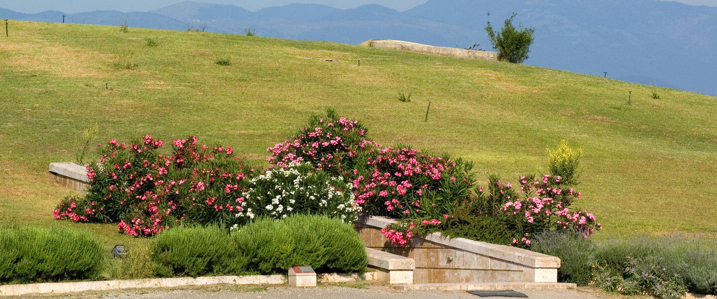 Griechenland ─ im Zeichen des Olymp Griechenland ─ im Zeichen des Olymp