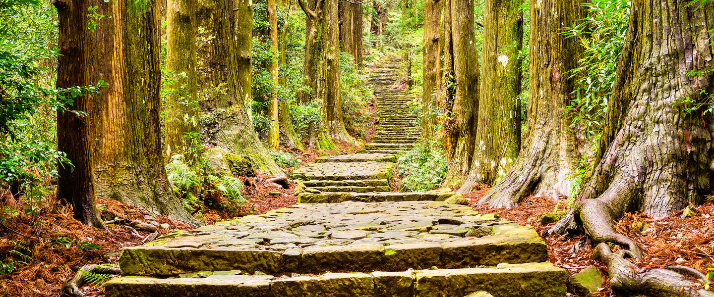 Magische Momente in Japan