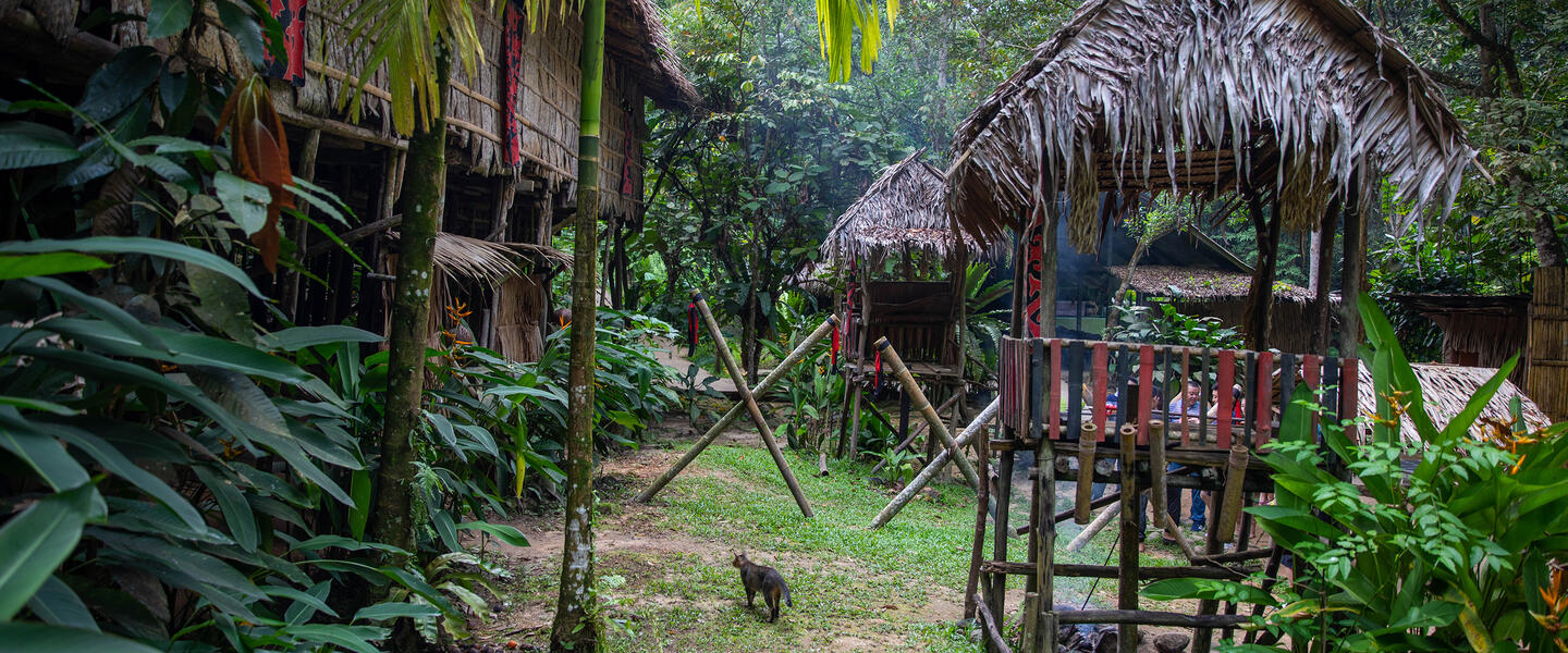 Naturparadies Borneo Naturparadies Borneo