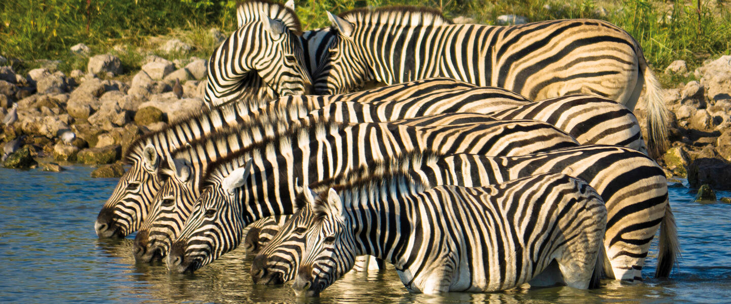 Entdeckungsreise Namibia