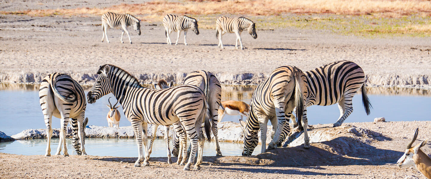 Namibia - Wildnis und Weite