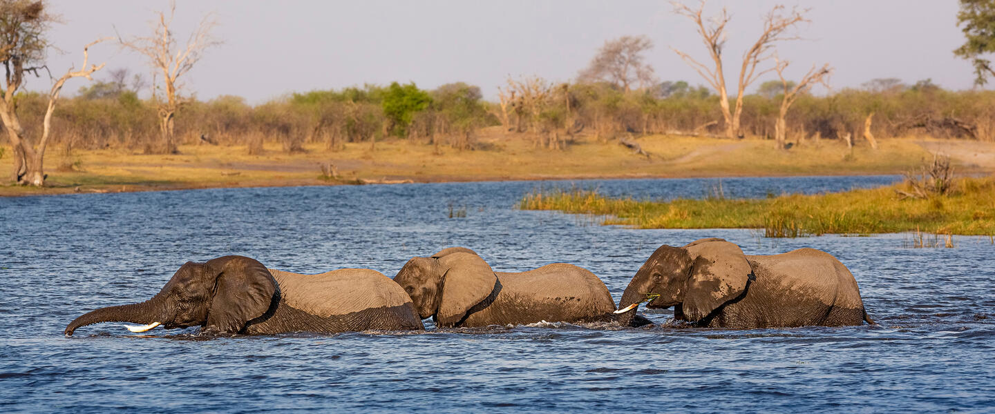 Namibia - von Windhoek zu den Victoria-Fällen