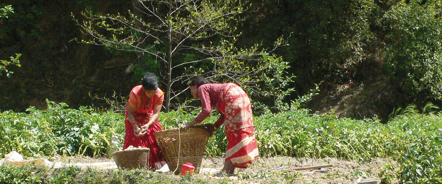 Nepal aktiv