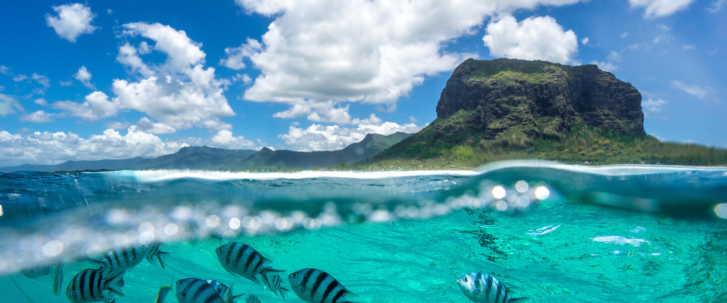 Südafrika und Mauritius