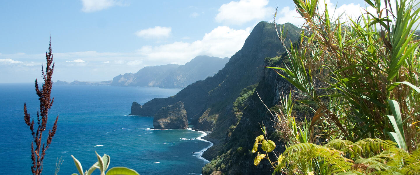 Madeira erwandern