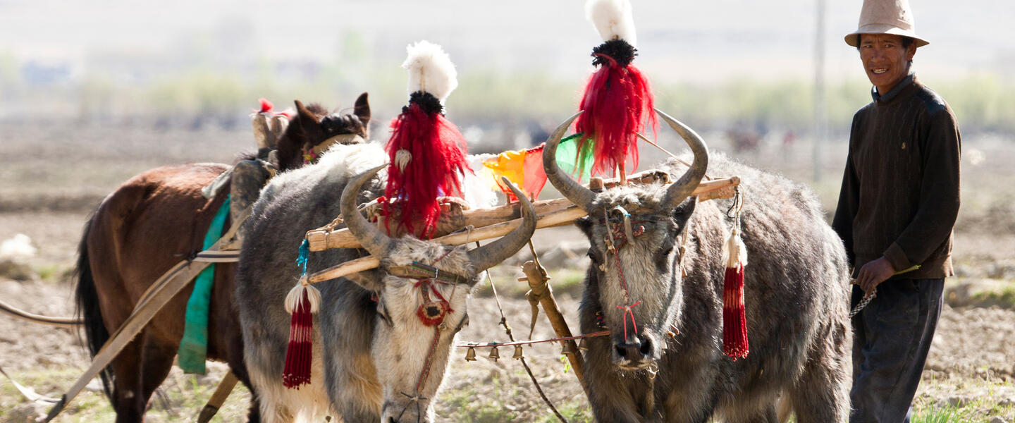 Heiliger Weg nach Tibet