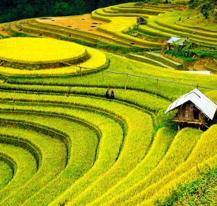 Von Hanoi nach Angkor