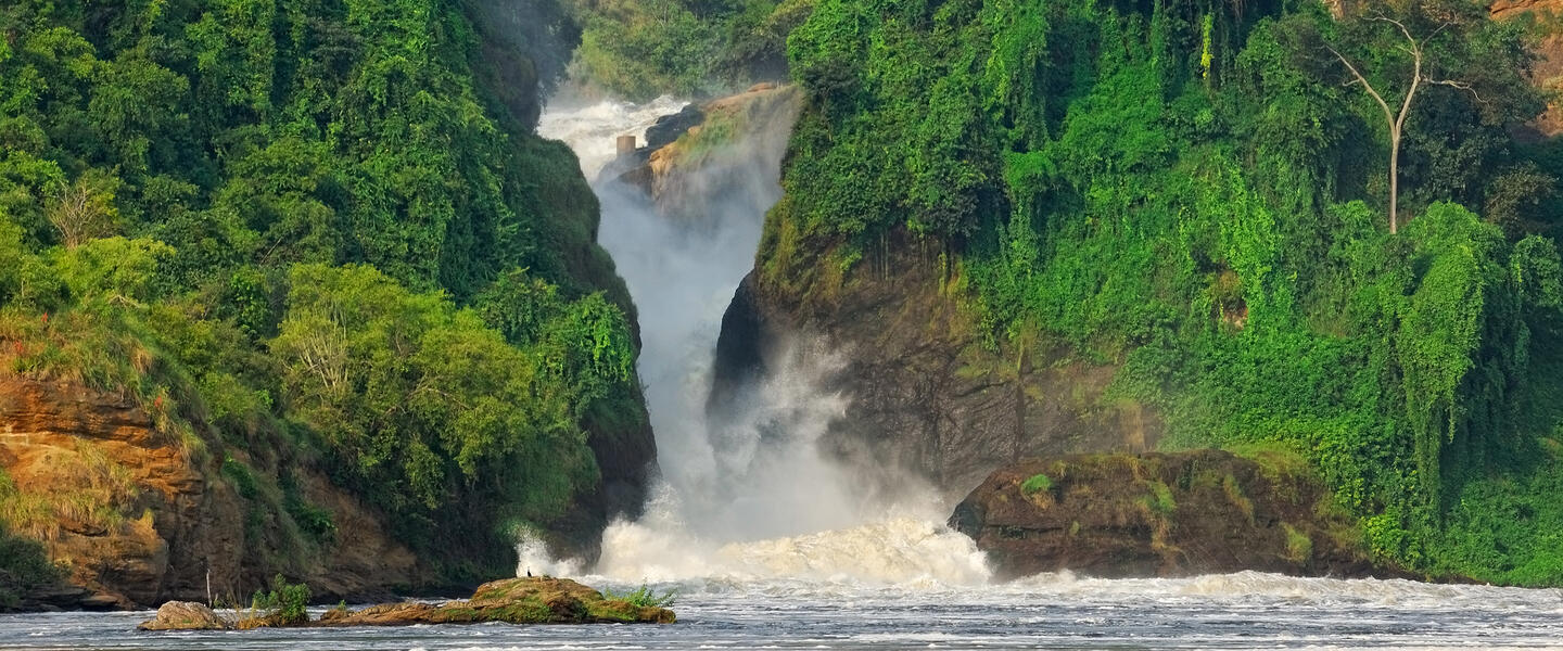 Uganda und Sansibar - vom Land der Berggorillas nach Sansibar