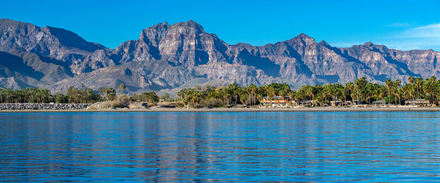 Baja California Sur - unbekanntes Naturparadies