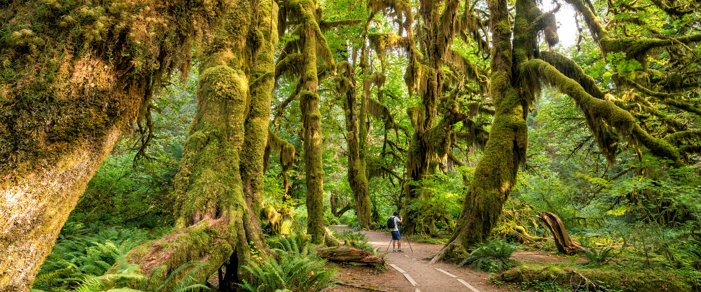 USA - Naturwunder der Pazifikküste