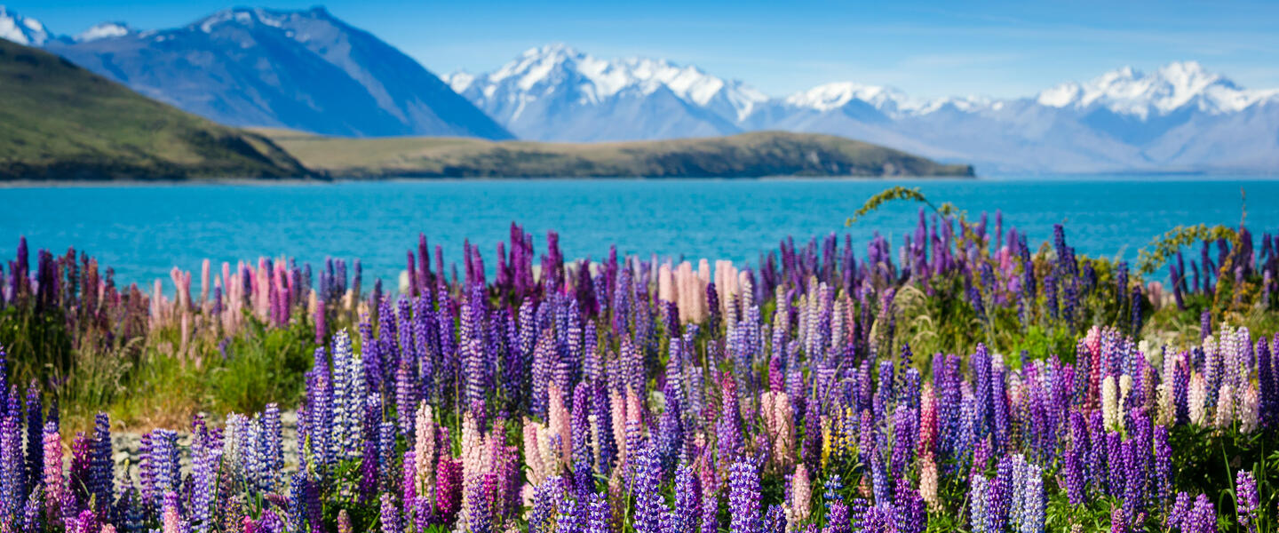 Neuseeland mit der Bahn inklusive Bay of Islands