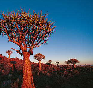 Maison Ambre Guesthouse, Windhoek