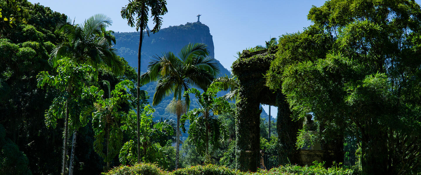 Rio intensiv erleben