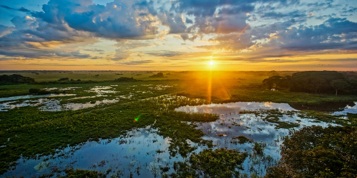 Natrparadies Pantanal