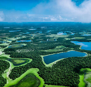 Natrparadies Pantanal