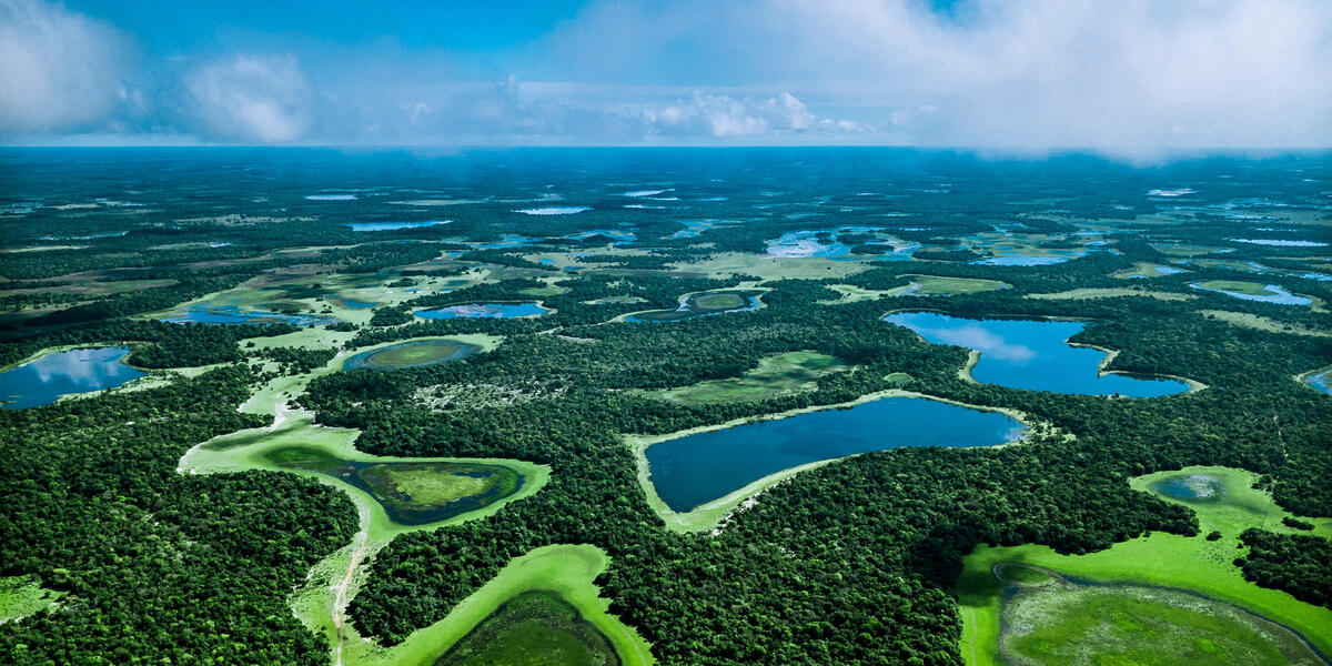 Naturparadies Pantanal Naturparadies Pantanal