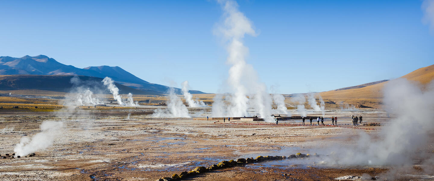 Wüstenzauber Atacama