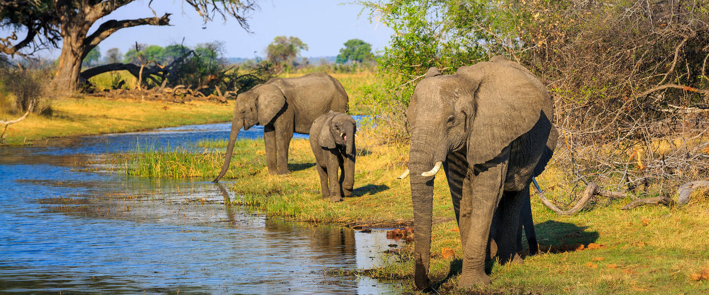 Namibia ─ Naturparadies Caprivi