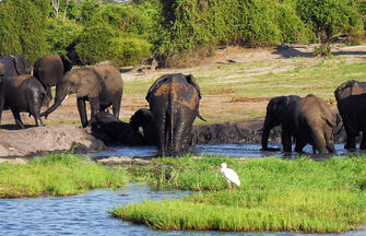 Victoria Falls und Chobe Nationalpark